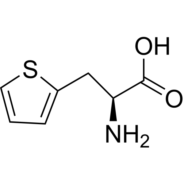 3-(2-Thienyl)-L-alanine (L-3-(2-Thienyl)alanine) 22951-96-8